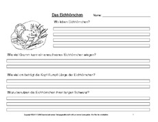Eichhörnchen-Fragen-beantworten-SW.pdf